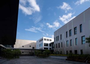 Courtyard in the School